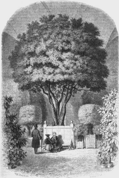 Un peu d’histoire…